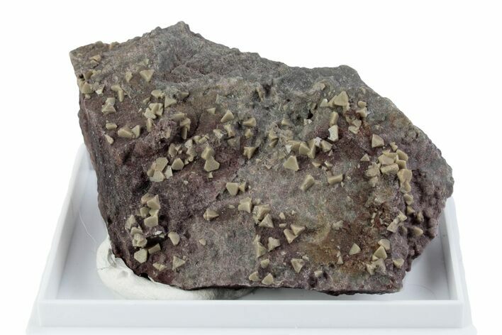 Tetrahedral Zunyite Crystal Cluster w/ Hematite - Iran #380200